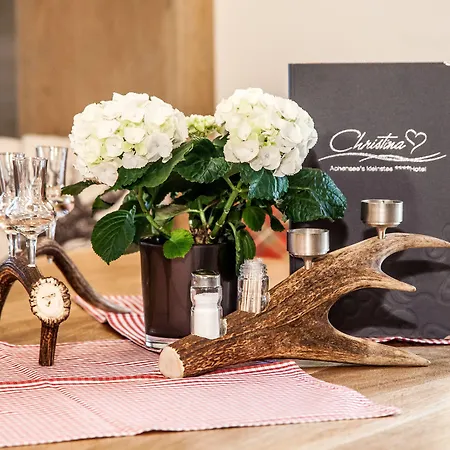 酒店 Christina - Ihr Kleinstes 4* Am Achensee 佩尔蒂绍
