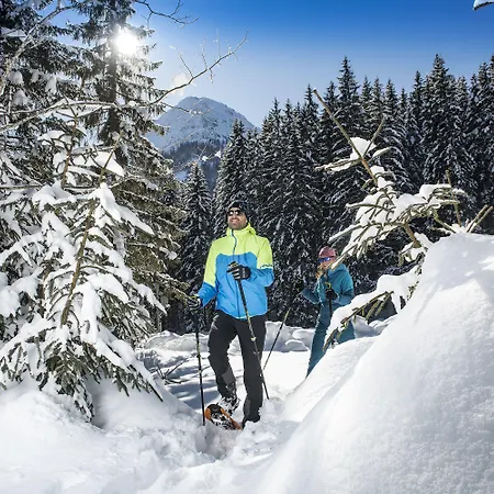 Christina - Ihr Kleinstes 4* Am Achensee 酒店